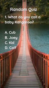 2.8K views · 25 reactions | Delve into the boundless domain of knowledge through our captivating quiz and unveil the depths of your intellectual prowess. | Clever & Wise Quiz | Facebook