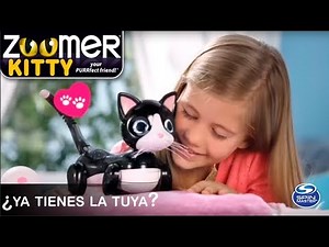 Zoomer Kitty