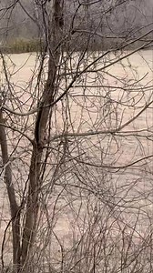 Hippity hop😂 | Bear Creek Log Cabins