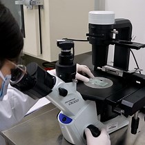 Video: Transferencia adoptiva de macrófagos estimulados por IL-33 a modelos de ratón inducidos por bleomicina para estudiar su efecto sobre la fibrosis pulmonar idiopática in vivo