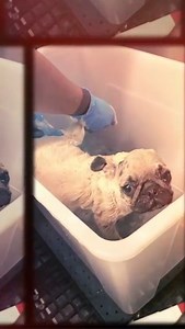 2.8K views · 364 reactions | Yesterday was a usual crazy Monday...