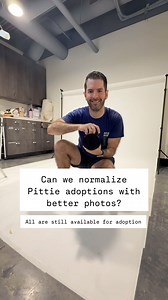 5.2K views · 836 reactions | I try as hard as I can to get pit bull...