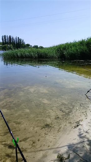 Viktor Voitko на TikTok