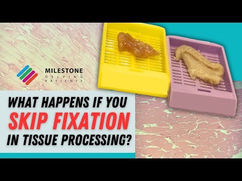 Why Fixation Matters in Histology | Real Lab Demonstration