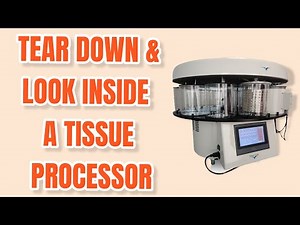 Tear down and look into a tissue processor