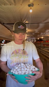 #quail #hunting #freedomflyersusa #freedomflyers #bobwhite #quaileggs | Quail Lady Brittany Freedom Flyers