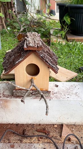 A freshly handcrafted nest box ready for the aviary. Natural wood, clean finish, and designed to make the birds feel safe and comfortable. #FinchCare #NestBox #AviaryLife #BirdBreeding #HighCPMVideo | Indra Prihantoro