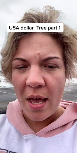 Exploring Dollar Tree in the USA