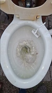 1937 Standard Madbrook First Flush