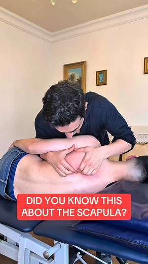 Exploring the wonders of the scapula! Check out this deep tissue technique to relieve tension and improve mobility. 🔍💪 ***************************** Tired of Having Back Pains All The Time, But You Choose To Ignore It? I would love to share my secrets with you and my new special report on back pain does just that! Heal Your Back Naturally 👉 https://rebrand.ly/backpain101 ******************************* #Anatomy #WellnessJourney | Healyourbacktips