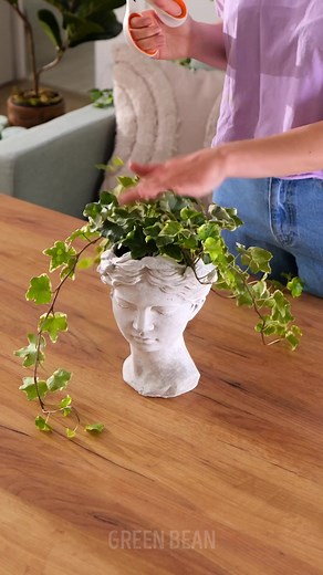 Smart plant growing hacks you shouldn't miss | Green Bean