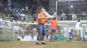 NEW NEGROS COLISEUM PROMOTION 5-COCK 1-DAY 22K POT MONEY. MARCH 15, 2017. ENTRY NAME : FIRE DRAGON GAME FARM 888 1. OWNER : FRANCIS CABUGA / ANTONIO BURBURAN. FOURTH FIGHT : 4-YEARS OLD CALIFORNIA WHITE CLARET PRINSIPE LINE. FIRE DRAGON GAME FARM 888 1 VS JOLT PROMOTION JUNE 22-23-25 5-COCK NTC. OWNER : JOLT/D.MENDOZA/PATBEL. (WIN) | Antonio Burburan