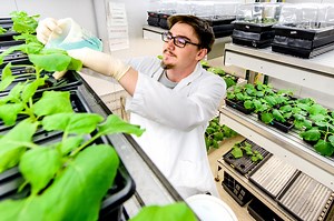 Biology and Society Major | ASU Online