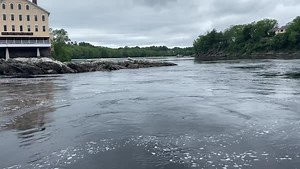 The sturgeon are jumping! Must be nearly summer in Maine. 😎 🎥 by TNC Maine Stewardship Field Assistant Gabe Andrews along the Androscoggin River in Topsham | The Nature Conservancy in Maine