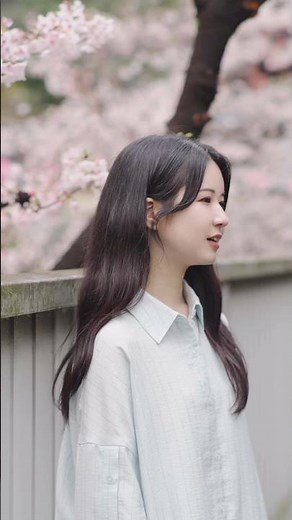 満開の桜の下で「さくら（独唱）」森山直太朗 歌ってみた