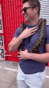 1.4K views · 27 reactions | Candy, my Python girlfriend. You can meet her and @darius_pardini on the Venice Beach boardwalk.  | Ronnie Friend Kroell | Facebook