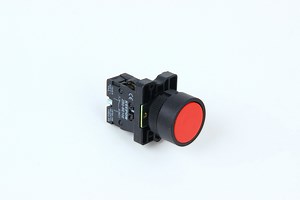 [Hot Item] Push Button Switch 15A 220V