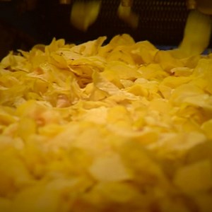 Research... into crisps. Best job ever? 🥔 | BBC Nottingham