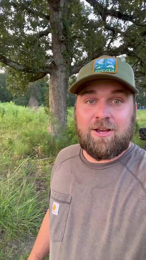 Do yourself three favors when managing for turkeys: get sunlight to the ground, use fire and get rid of invasive species. #forturkeys #wildturkey #conservation | Turkeys For Tomorrow