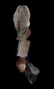 Antique Central Asian Hamdmade Wood Bird (quail) Call for Hunters, Still Functional - Etsy