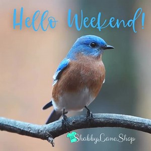 Hello weekend! We have been waiting all week for you! | Shabby Lane