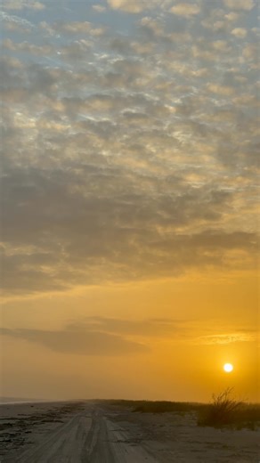 21K views · 2.6K reactions | Beautiful Beach! Gulf of Mexico. Near Port Arthur. Texas. USA. | Texas Reporter | Facebook