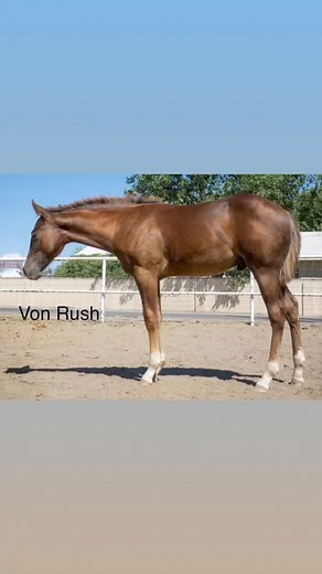 Just weaned | Josh Armstrong