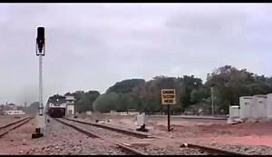 Effects of juban kesari | Funclovita