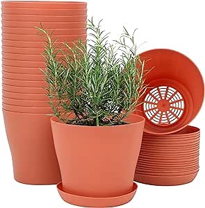 Whonline 20pcs 6.6 Inch Plastic Flowers Pots for Plants, Planters with Drainage Holes and Saucers for Indoor Plants, Outdoor Clearance, Seeding Nursery, Succulents, Terra Cotta