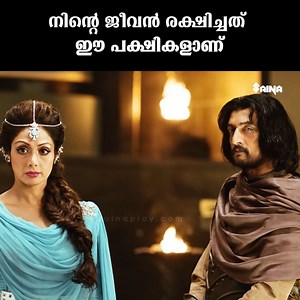 നിന്റെ ജീവൻ രക്ഷിച്ചത് ഈ പക്ഷികളാണ് | Puli Malayalam Movie Scenes | Thalapathy Vijay | Shruti Haasan #puli #pulidubbedmovie #vijay #shrutihaasan #tamilmvoie #dubbedmovie #dubbedmalayalammovie #moviescenes #viralmovie | Unlimited Malayalam