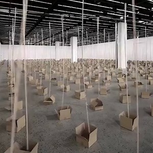 3K views · 92 reactions | Sound installation by @studiozimoun #Zimoun | Avant Arte | Facebook