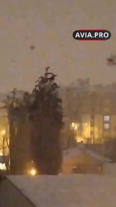 The strange bird behavior in Turkey is just one example of how nature sends us signals before disaster strikes. Let's not ignore the signs that nature gives us. | Kartikeya Sharma