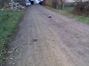 Strada XB terepen (2WD)