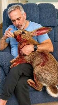 5 Pets You Can Raise Instead of Cats! 😳🔥