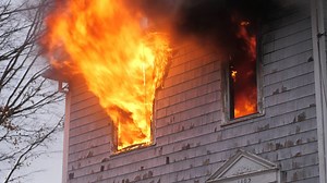 1.9K views · 32 reactions | Check out our newly released report on...