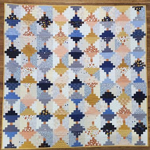 Conway Cottage Courthouse Quilt Kit With Pattern and Fabric: 63" Square Beginner Quilt Top & Binding - Etsy