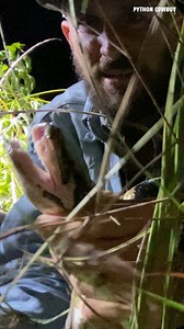 This Smaller Sized Python Is Very Hard To Get Out Of This Saw Grass. They're Super Strong | Python Cowboy Hunts