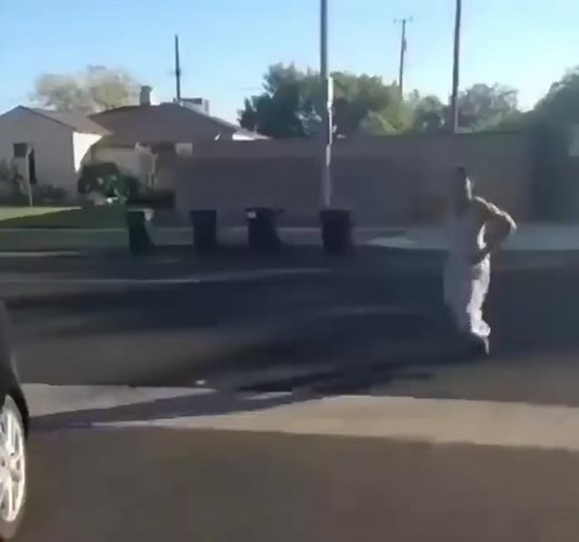 Vine Compilation - King Bach x Destorm #2 #fyp #vine #kingbach #destorm