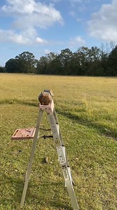 14K views · 455 reactions | How to pronounce Cajun dishes | Cory LeDoux | Facebook