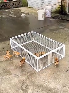 How cool is this bird box? | Handy Dandy