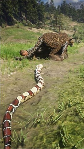 This Snake Just Saved A Human From A Mountain Lion! 🐍 vs 🦁 Incredible Wildlife Rescue #shorts