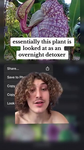 16 comments | The Duck is famously used by the worlds best herbalist...