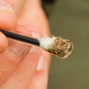 2.2K views | Ultimate Camping Guide: Tips & Hacks for a Champion Outdoor Adventure | The Humor Train | Facebook