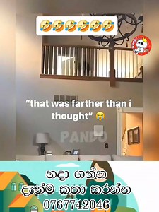 14 reactions · 7 comments |  #Pando #Follow_Me | ＰＡＮＤＯ | Facebook