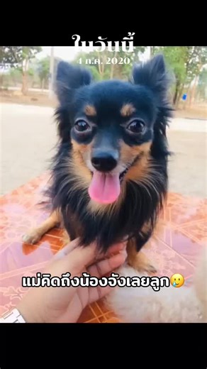 ณัชศญา า า บน TikTok