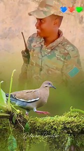 Nabi muxamed NNK SCW | Abwan nasiib iyo nadaam