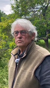 2K views · 2.1K reactions | Michel Audureau, expert des poules, nous donne la liste des prédateurs qui les menacent et explique comment s’en protéger !  Reportage complet à retrouver sur notre chaîne YouTube : CotCot Club (lien en bio) 李 | CotCot-Club | Facebook