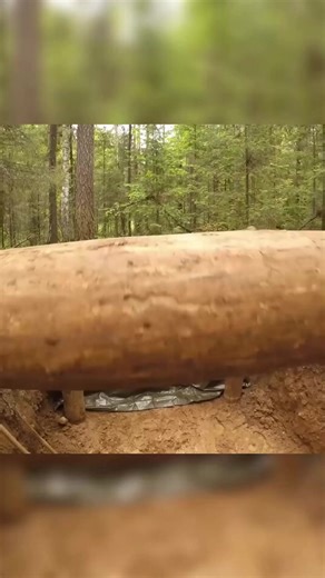 5.1K views · 122 reactions | Building a house underground from start to finish #bushcraft #camp #nature #forest #camping #wildlife #outdoor #survival #caveman #primitive #primitiveskills #knowledge #primitive_technology #wildernessskills #outdoors #outdoorlife #campinglife #lifehacks #reelsusa #fyp #foryou | Camping Life | Facebook