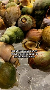 63 reactions · 16 shares | Snail Tales… no part 2 hahaha! #FirstBiteFeels #FoodAdventure #viralreels #viralpost2024シ #viralmusic #mentionedyou | James Garo | Facebook
