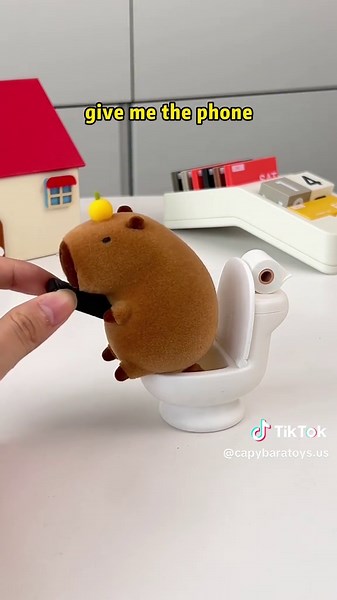 Understanding Capybara's Need for Private Time
